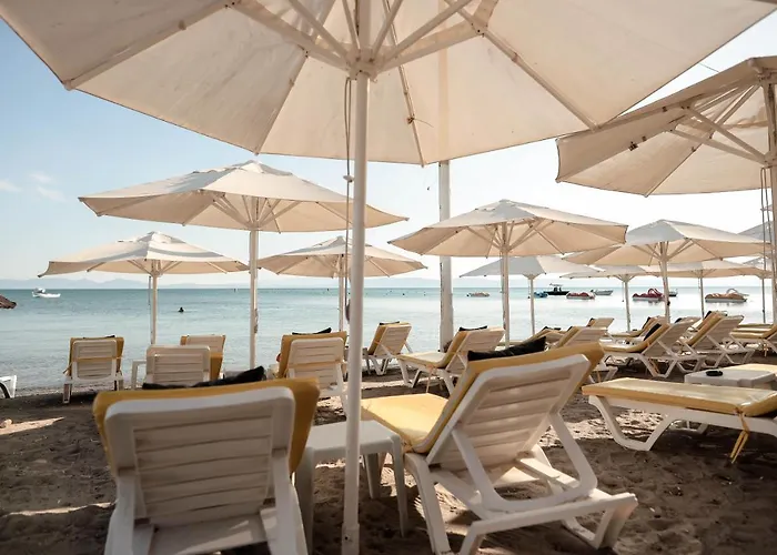 Badawood Arjin 酒店 Ayvalı